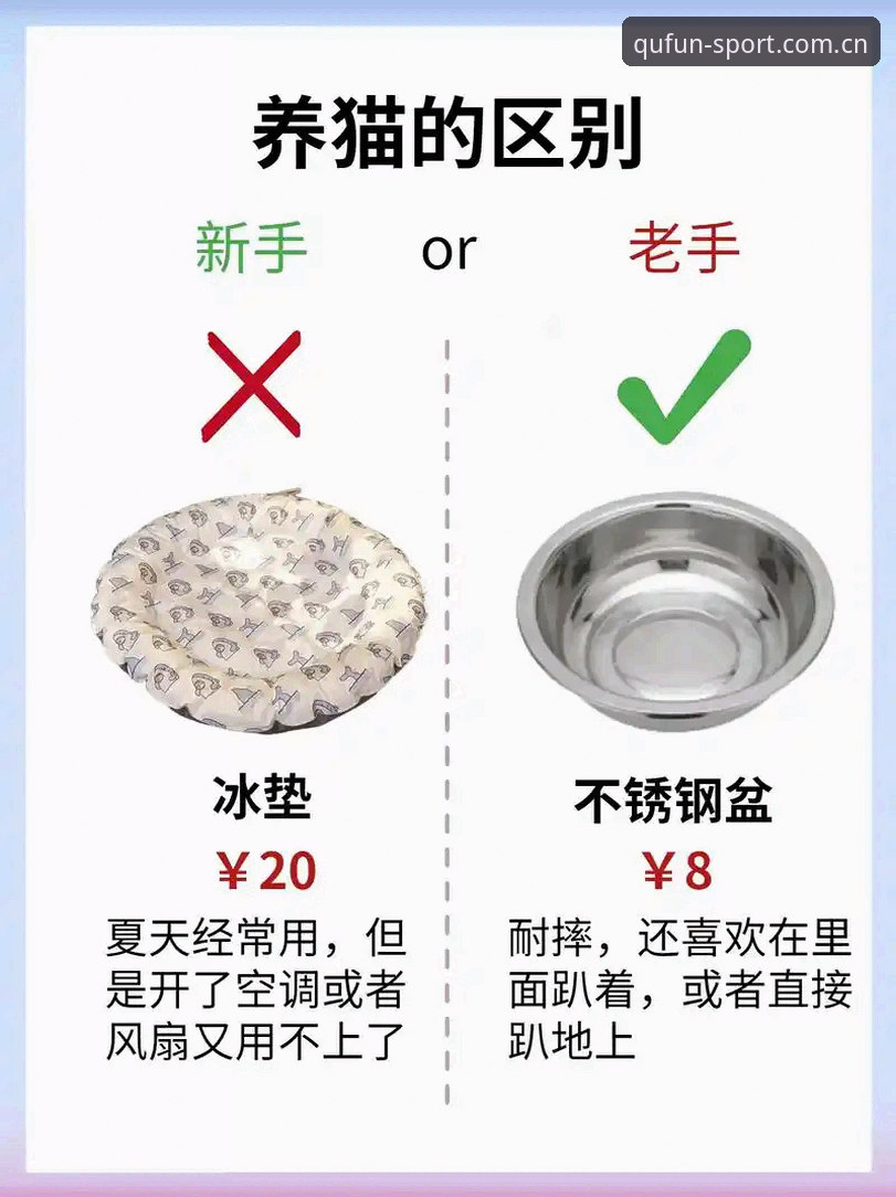 趣体育平台使用完整指南：从新手到老手的进阶教程